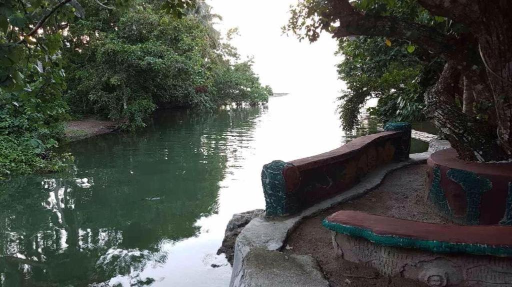 Nature Green Forest Resort Baler Ngoại thất bức ảnh
