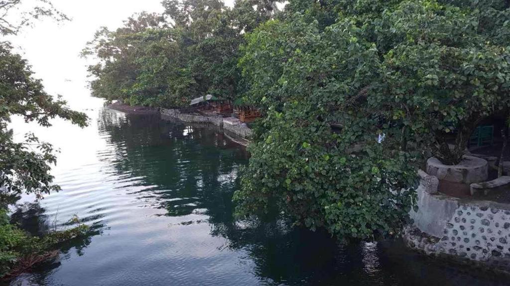 Nature Green Forest Resort Baler Ngoại thất bức ảnh