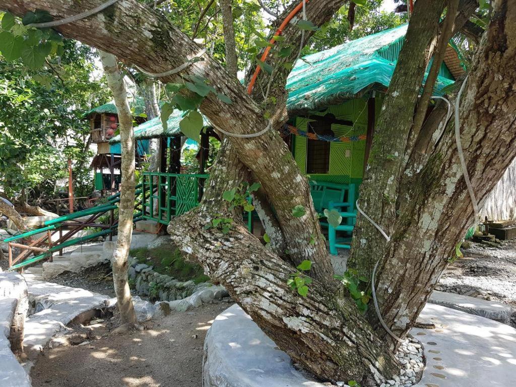 Nature Green Forest Resort Baler Ngoại thất bức ảnh