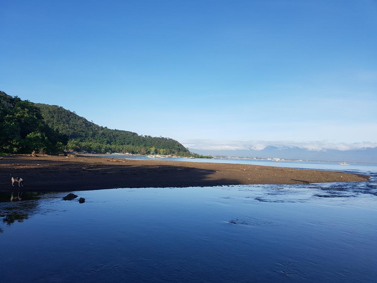 Nature Green Forest Resort Baler Phòng bức ảnh