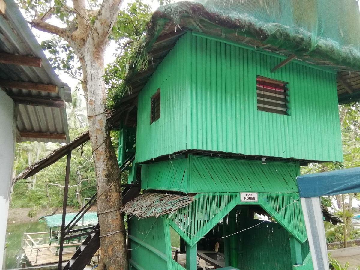 Nature Green Forest Resort Baler Ngoại thất bức ảnh