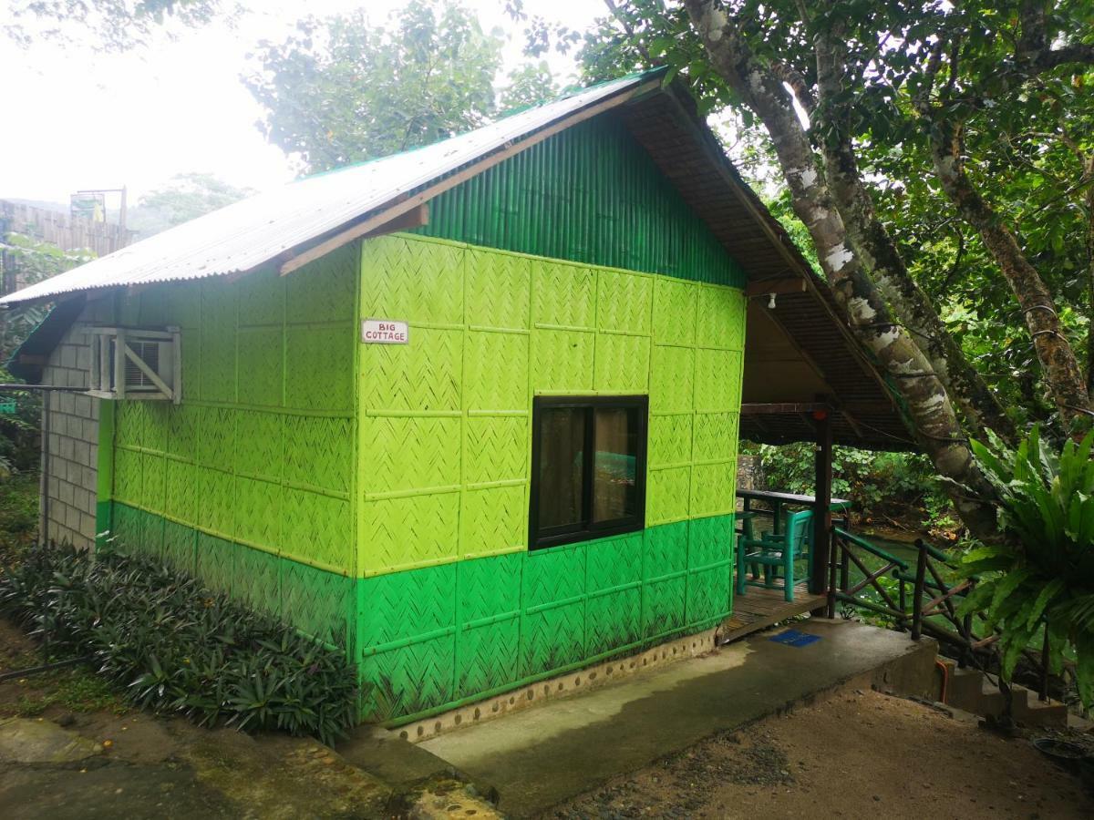 Nature Green Forest Resort Baler Ngoại thất bức ảnh